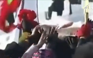 《鱼资渔味》第20151229期 查干湖头鱼拍卖78万 [视频]