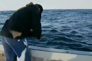 狡猾黑鲔殊死战第一季07 海上叛变 关系紧张 [视频]