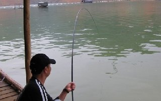 手竿钓获大鱼后的遛鱼技巧