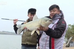 《江湖行》冷雨战青草 八宝水库戮战巨物 [视频]