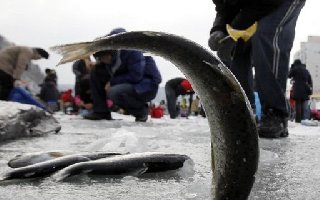 冬季在北方冰钓要知道八项重要技巧