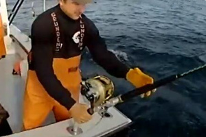 狡猾黑鲔殊死战第二季13 豪赌风险 海盗行为 [视频]