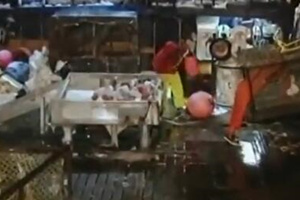 渔人的搏斗第十季3：捕蟹父女档 历经坎坷 [视频]