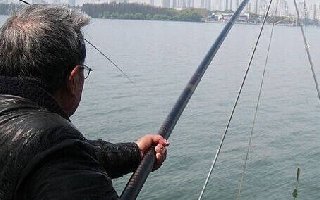 手竿传统钓的优势，用于春天效果好