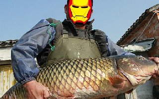 黑坑钓鲤鱼遇生口鱼与老坑鱼共存的选漂