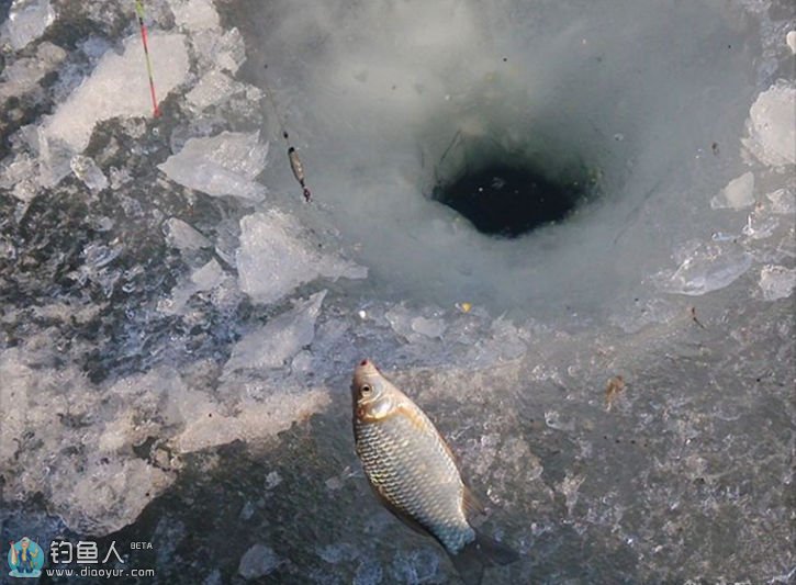 冰钓找鱼绝招图片