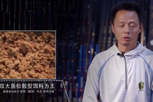 垂钓新思路：黑坑作钓的饵团开多大合适 [视频]