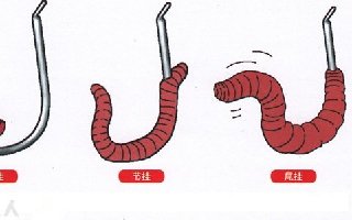 蚯蚓挂钩的五种方法 [图解]