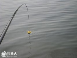 野钓、竞技钓的诱鱼做窝法