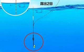 就这样钓鱼 范宁讲静态钓浮 20160311 [视频]