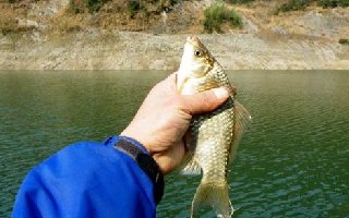 依天气变化选择钓位与变化钓组