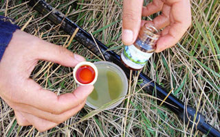 深度解析钓鱼药酒的搭配与使用