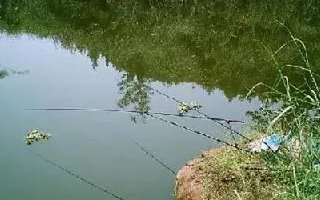 肥水应该怎么钓鱼，如何在肥水塘中钓好鱼