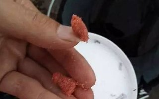 竞技钓的饵料搭配技巧,来自高手的推荐
