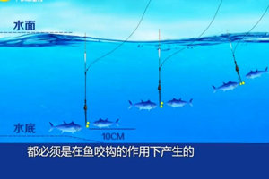 就这样钓鱼 范宁讲动态钓浮 20160318 [视频]
