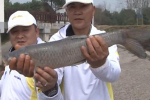 《涉钓英雄传》合肥四杰对抗赛 高手巨物任务 [视频]