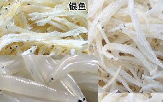 自制小药配方鱼粉、虾粉、蚯蚓粉的方法