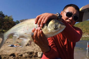 钩尖江湖第一季20 小崔安图水库喜钓大鲢鱼 [视频]