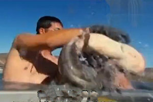 顶尖钓手6 无钩挑战皮卡拖船倒车 徒手抓鲶鱼 [视频]