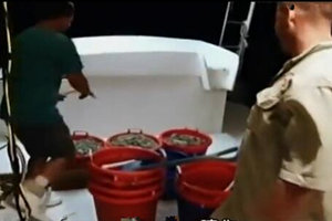 破浪捕白虾03 虾获拼高下 暴风酝酿 [视频]