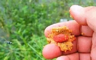 民间钓大鱼首选的包食钓法技巧全解析