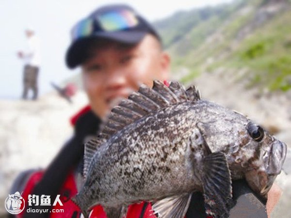 海钓技巧之近海船钓黑鲪鱼攻略