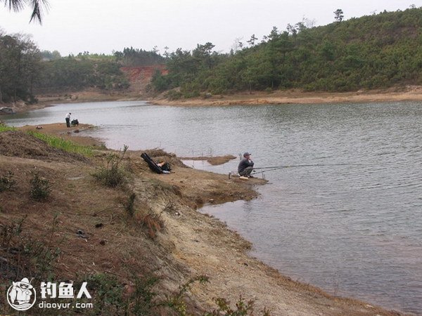 手竿春钓鲫鱼的选时选点与用饵技巧