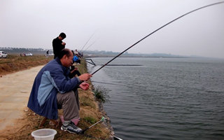 钓行程的钓组、鱼饵、浮漂选择及调钓方法