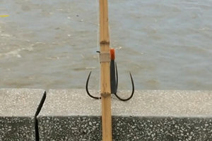 《鱼资渔味》第20160503期 株洲航电水利锚鱼猖獗 [视频]