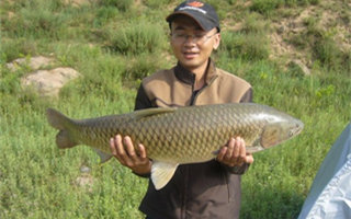 夏天钓草鱼食性装备及垂钓技巧
