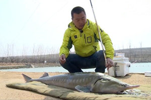 坑冠争霸02期 东海探宝（下）神兵利器搏巨物鲟鱼 [视频]