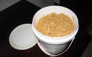 野钓发酵包谷面粑饵的制作详解