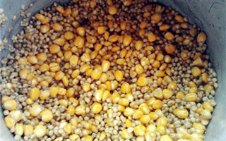 浅谈臭饵的特性及臭饵的六种制作方法