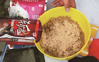夏季钓鱼饵料的选用原则